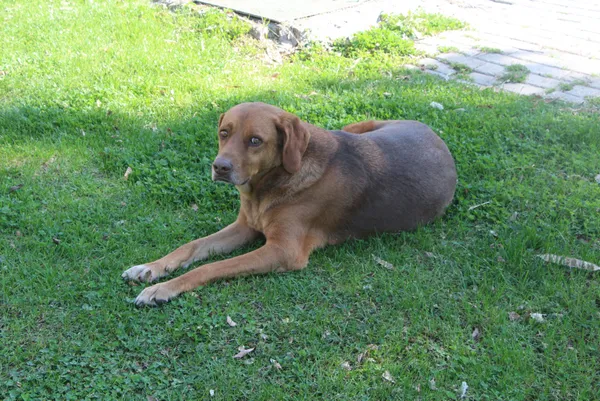 adanada-termometreler-32-dereceyi-gosterdi-6-subat-hava-durumu-1612618809658.jpg Adana'da termometreler 32 dereceyi gösterdi! 6 Şubat hava durumu-4