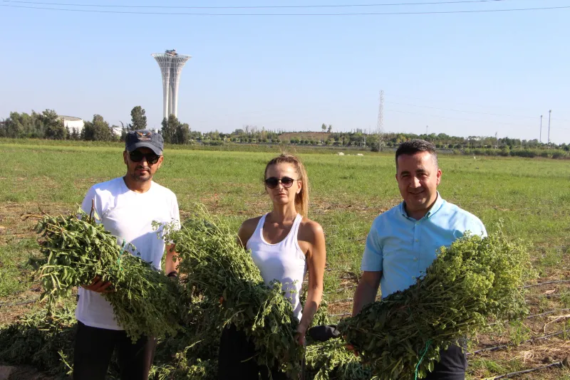 17 yıllık mesleğini bıraktı, servetine servet kattı - 13