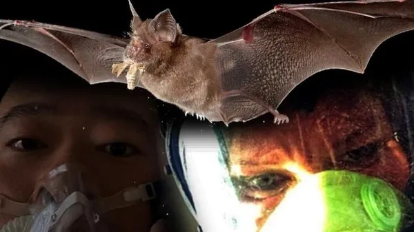 Bilim insanları ilk kez açıkladı! Meğer koronavirüs 7 yıl önce...-4