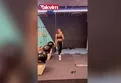 Nihat Doğan’ın eşi Arzu Doğan spor salonundan paylaştı: Son hali sosyal medyayı salladı