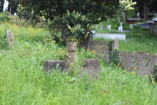 Ordu'da Yeşilçam klasiği Davaro gerçek oldu! Mezarların yönleri şaşırttı-4