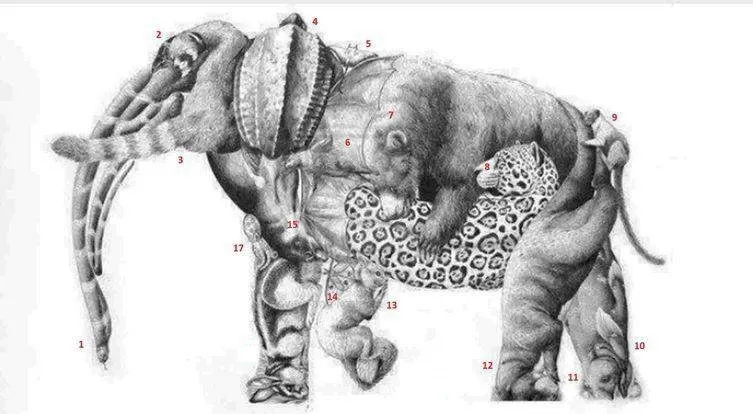 resimdeki-16-hayvani-bulduysan-hafizan-zehir-gibi-cikiyor-1713962479028.jpg Resimdeki 16 hayvanı bulduysan hafızan zehir gibi çıkıyor-5