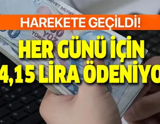 Günlük 44,15 lira hesaplara ödeniyor!