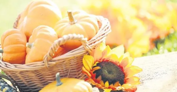 Çok güçlüsün bal kabağı