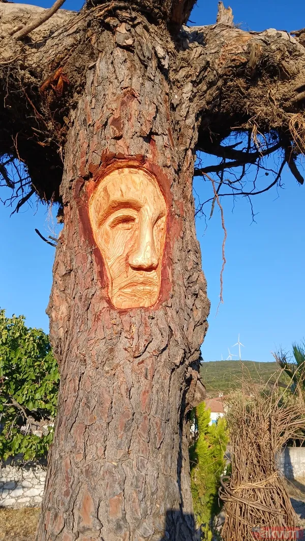 Köylerimiz dünyanın en iyileri arasında! Akyaka’dan Anıtlı’ya… Türkiye’den 4 köy global listede - 7