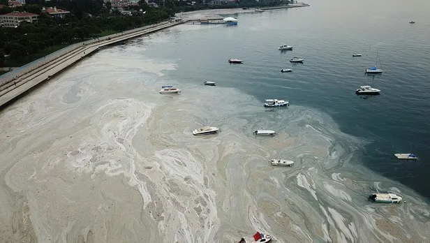 Çevre ve Şehircilik Bakanlığından 7 ile genelge! 8 Haziran'da en büyük deniz temizliği seferberliği başlatılacak-4