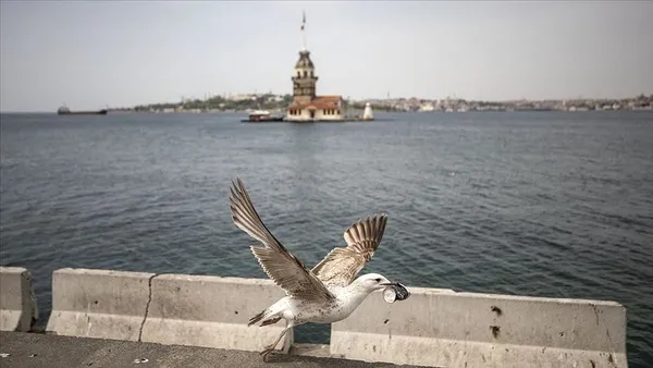 bunlari-biliyor-musunuz-istanbulun-ilk-kez-okuyacaginiz-ozellikler-tasi-topragi-komur-1632205665094.jpg Bunları biliyor musunuz? İstanbul'un ilk kez okuyacağınız özellikleri: Taşı toprağı kömür-9