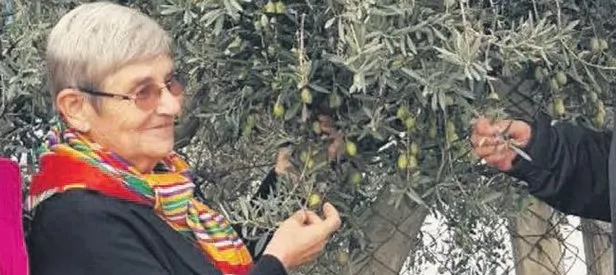 Zeytin yiyen düz duvara tırmanır