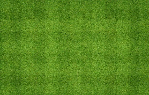 tff-antrenorluk-kursu-ne-zaman-2021-tff-antrenorluk-kursu-basvuru-sartlari-ve-aranan-sartlar-1623131515896.jpg TFF antrenörlük kursu ne zaman? 2021 TFF antrenörlük kursu başvuru şartları ve aranan şartlar...-7