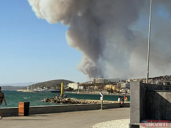 İzmir ve diğer illerde alevler kontrol altına alındı! Menderes'i yakan 'hobi' Çeşme'de izmarit izi: Bakan 'haftaya dikkat' diyerek uyardı - 37