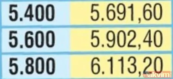 Emekliler 2021 Ocak ayında ne kadar zam alacak? Emeklinin ocak maaşı kaç lira olacak? - 13