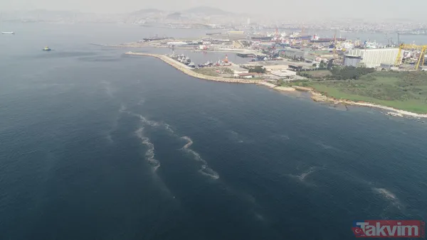 Müsilaj kabusu geri döndü! İstanbul'da müsilaj her geçen dakika artıyor - 2