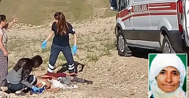 Korkunç olay! Köpekler yaşlı kadını öldürdü
