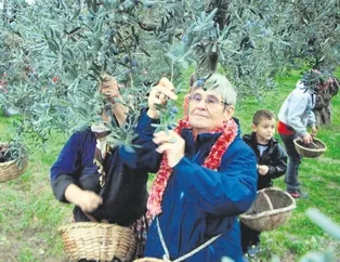 Zeytinyağı altındır