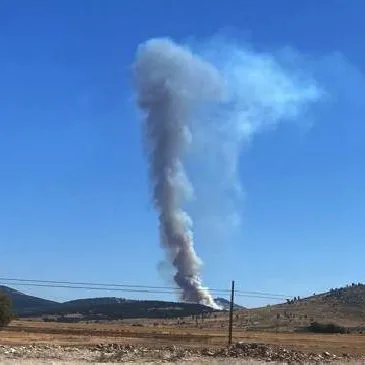 Gaziantep’te orman yangını!