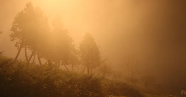 İstanbul'da sis etkili oldu! Sürücüler zor anlar yaşadı