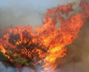 Adrasan’da orman yangını