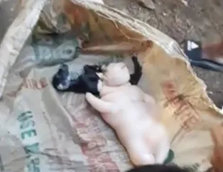 Filipinler'de doğan yarı insan yarı domuz canlı dünyayı ayağa kaldırdı