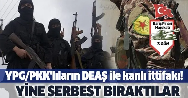 Son dakika: YPG/PKK’lılar, terör örgütü DEAŞ mensuplarını serbest bıraktı