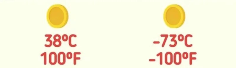 ilk-hangi-madeni-paranin-dibe-dustugunu-bulabilir-misin-7-saniyede-100-kisiden-5i-bile-bulamiyor-1719582453376.jpg Zeka testi: İlk hangi madeni para dibe düşer? 129 kişi arasında 7'si başarılı oldu-3