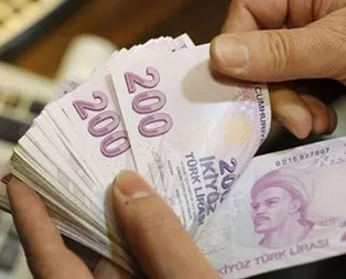 Devletten herkese destek