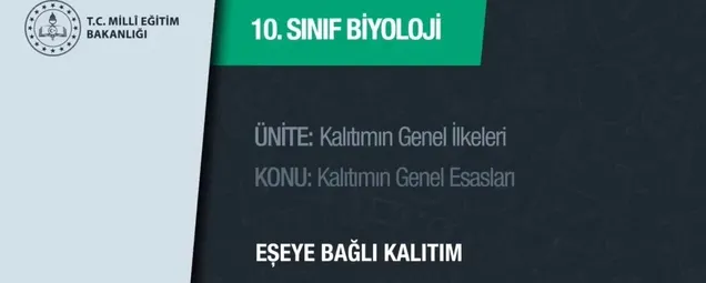 10. Sınıf - Biyoloji Dersi - Konu: Eşeye Bağlı Katılım 26 Mart 2020 Perşembe