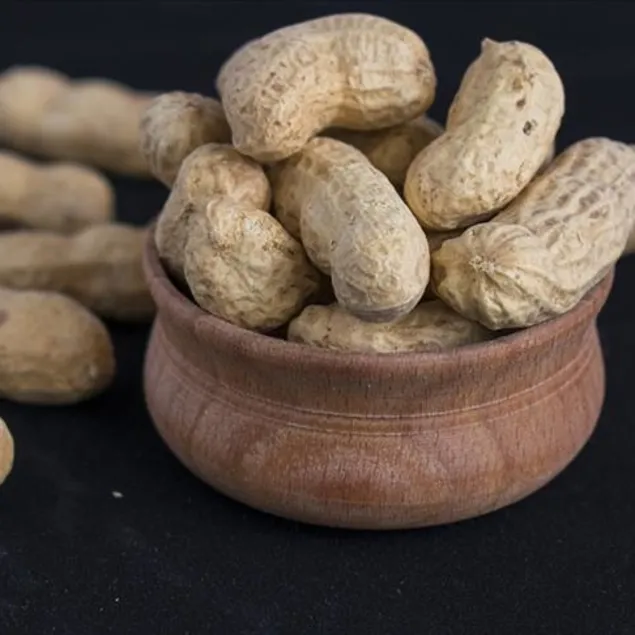 Fıstık gibi güzellik