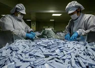 Koronavirüs yalanlarına dikkat! Bilim Kurulu üyeleri sumak suyuna karşı uyardı