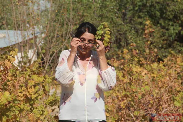 Dünyanın en iyilerinden olan Sorbonne'da okudu! Köyüne dönüp tarım yapmaya karar verdi - 11