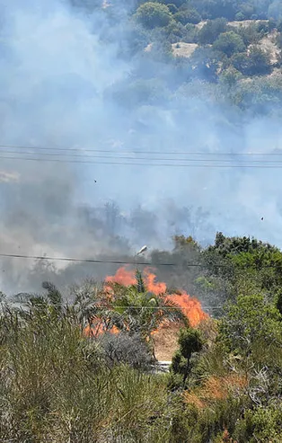 Bodrum'da korkutan yangın! Bir anda yayıldı