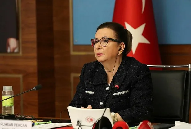 Son dakika: Türk Konseyi, salgının ekonomik etkisini azaltmak için iş birliğini güçlendirecek-1