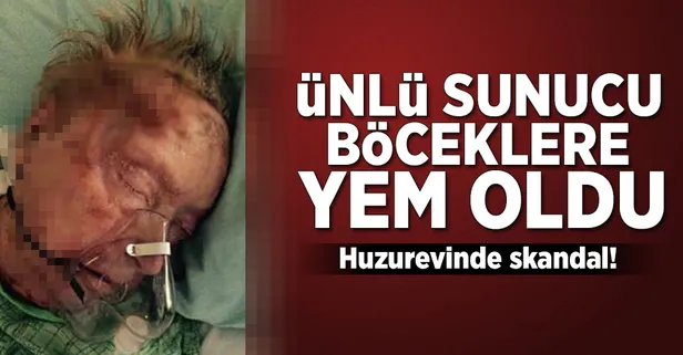 Eski sunucuyu böcekler canlı canlı yedi