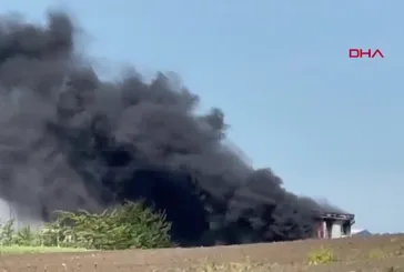 Tekirdağ Ergene'de yangın!