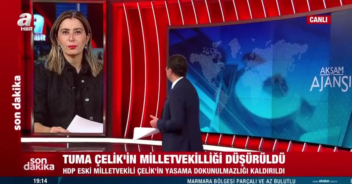 Eski HDP Mardin milletvekili Tuma Çelik’in vekilliği düşürüldü