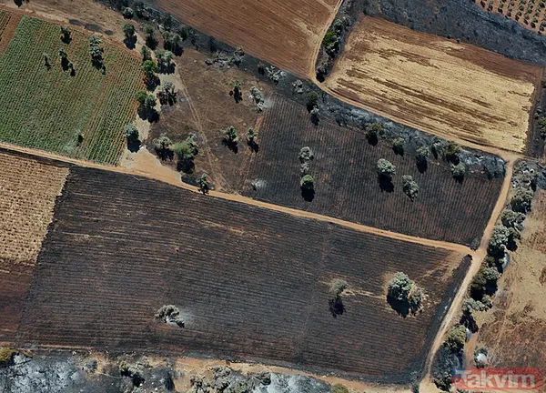 Çeşme yangınında zarar gören alanlar görüntülendi: Her şeyimiz yandı - 4