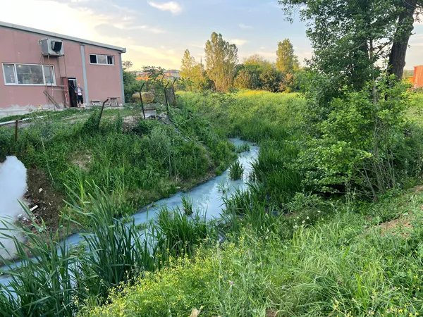 Alibeyköy Barajı'na dökülen derenin rengi maviye döndü! Kokusundan rahatsız olan mahalle sakinlerinden İSKİ'ye tepki-3