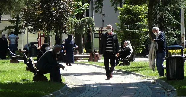 olan iller hangileri