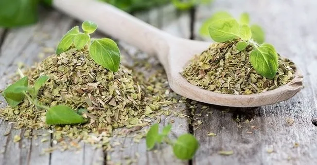 Kepeğe kekikle son verin