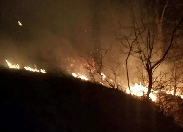 Osmaniye Düziçi'nde orman yangını! Alevler yükseldi-3