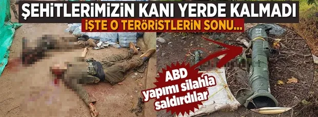 Hakkari, Tunceli ve Şırnak'ta 54 terörist öldürüldü-2