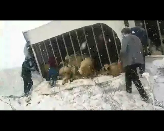 Sivas'ta feci olay! Gören oraya koştu...-2