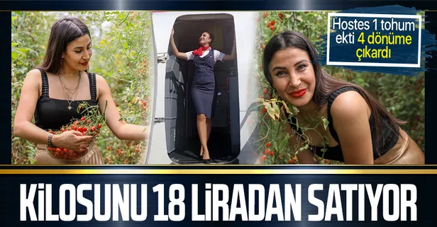 Kabin memuru Cemre Ateş bir tohumla başladığı mini şeker domatesi üretimini 4 dönüme çıkardı