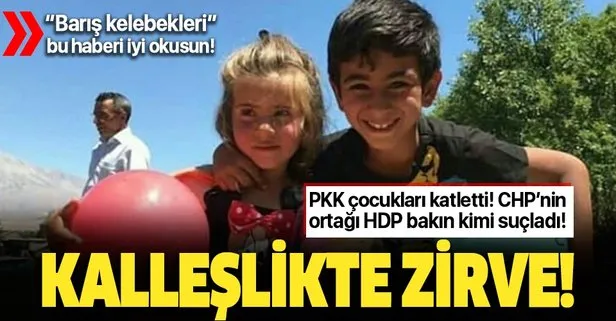 PKK, Ayaz ve Nupelda'yı katletti, HDP devleti suçladı!