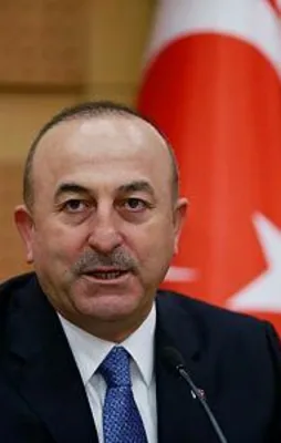 Bakan Çavuşoğlu'ndan kritik Almanya açıklaması