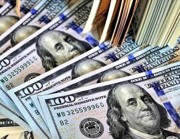 Hangi şirketler kredi çekip dolar alıyor?