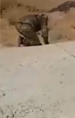 Hain tuzak son anda fark edildi! Resulayn ile Tel Abyad arasındaki yollarda mayın temizliği