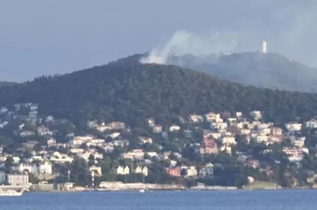 Son dakika: Büyükada'da ormanlık alanda yangın!