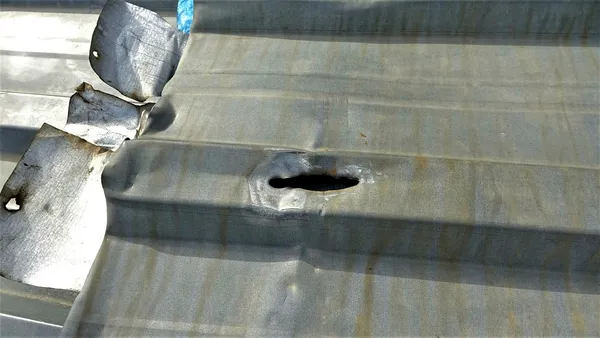 gokyuzunde-isik-gordu-olumden-dondu-basina-binlerce-dolar-degerinde-talih-kusu-kondu-1610791202038.jpg Gökyüzünde ışık gördü, ölümden döndü! Başına binlerce dolar değerinde talih kuşu kondu!-5