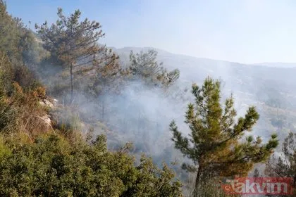 Muğla’da orman yangını! 2 hektar alan zarar gördü