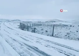 Ağrı beyaza büründü